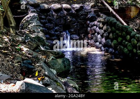 Dans le dell par les eaux en cascade Banque D'Images