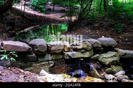 Dans le dell par les eaux en cascade Banque D'Images