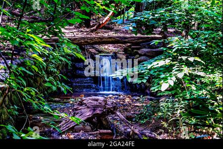 Dans le dell par les eaux en cascade Banque D'Images