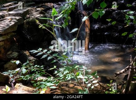 Dans le dell par les eaux en cascade Banque D'Images