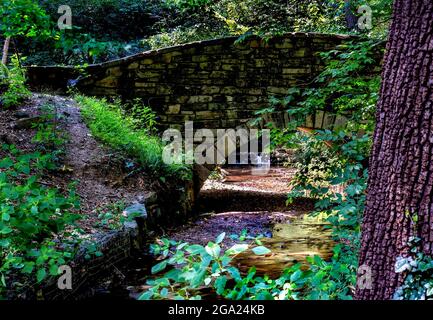 Dans la dell par les eaux en cascade sous le pont Banque D'Images