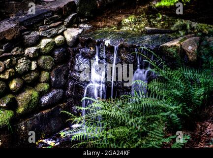 Dans le dell par les eaux en cascade Banque D'Images