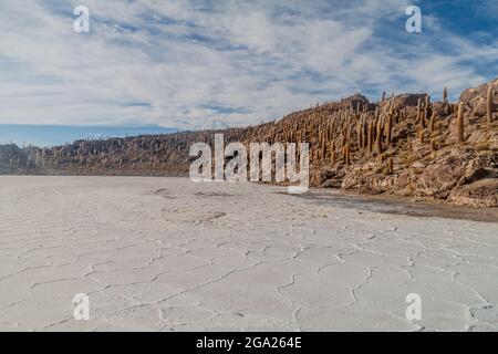 Isla Incahuasi (Isla del Pescado) au milieu de la plus grande plaine de sel du monde Salar de Uyuni, Bolivie Banque D'Images