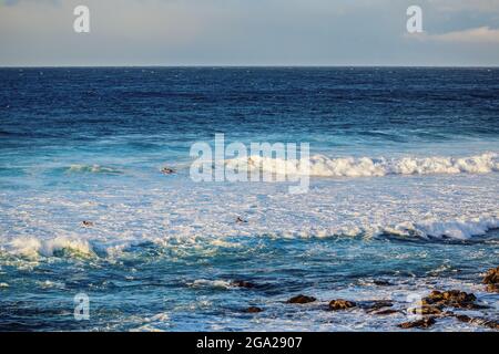 Les surfeurs se reposent sur leurs planches et attendent les vagues fraîches dans un paysage marin tranquille et un ciel nuageux au parc de la plage d'Ho'okipa près de Paia ; Maui, Hawaii, United Stat Banque D'Images