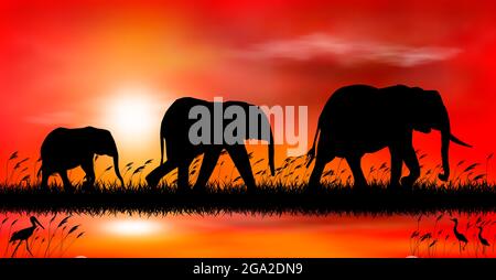 Silhouettes d'éléphants sur le fond du coucher de soleil. Éléphants sur fond de coucher de soleil au bord du lac. Illustration de Vecteur