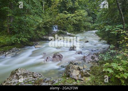 Ruisseau traversant la forêt près du lac Chiemsee, parc national de Berchtesgaden, Berchtesgadener Land; Ramsau, Bavière,Allemagne Banque D'Images