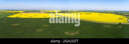 Vue aérienne d'une route de campagne traversant des champs de canola à fleurs qui se trouvent à côté de champs verts sous un ciel bleu Banque D'Images