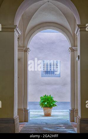 Porte voûtée voûtée avec une jardinière en terre cuite et une plante à feuilles vertes sur la passerelle carrelée de Cortona; Arezzo, Toscane, Italie Banque D'Images