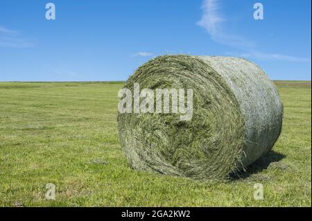 Gros plan d'un grand rouleau de foin sur une prairie verte coupée avec un ciel bleu vif ; Vogelsberg, Hesse, Allemagne Banque D'Images