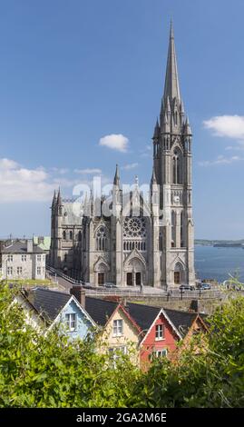 Maisons colorées et leur toit (connu sous le nom de la terrasse des cartes) en face de la cathédrale de la cathédrale de St Colman, surplombant le port... Banque D'Images