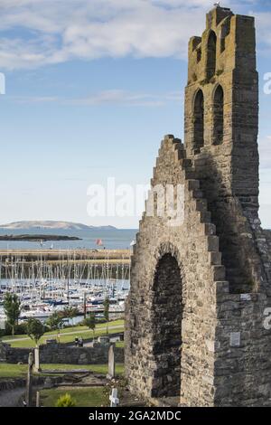 Vue rapprochée des ruines de l'abbaye de Howth (abbaye de St Mary) dans le village de Howth, surplombant la marina et la baie de Dublin en arrière-plan Banque D'Images