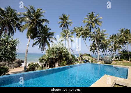 Piscine entourée de palmiers (Arecaceae) à Kuma Beach, Teardrop Boutique Hotel près de Balapitiya avec la plage et l'océan Indien... Banque D'Images