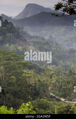 Hill train depuis Ella en traversant la forêt arrivant à Demodara avec Little Adam's Peak au loin Banque D'Images