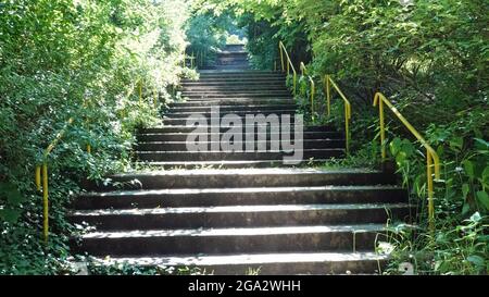 Les escaliers de la ville thermale de teplice nad becvou sont bordés de buissons des deux côtés. Rambarde en métal jaune. Banque D'Images