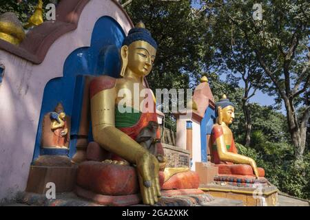 Le singe Mâcaque rhésus (Mulatta Macaca) et la statue de Bouddha sur les marches menant à la grande stupa de Swayambhunath à Katmandou, Népal Banque D'Images