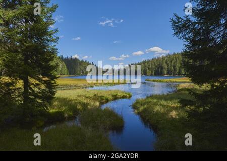 Un petit ruisseau qui s'inverse dans le lac Arbersee, parc national, forêt bavaroise ; Bavière, Allemagne Banque D'Images