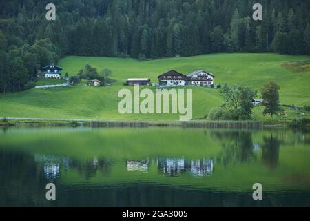 Fermes le long de la côte herbeuse du lac Hintersee dans les Alpes bavaroises ; Berchtesgadener Land, Ramsau, Bavière, Allemagne Banque D'Images