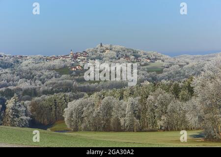 Château de la ruine Brennberg, champs et prairies avec arbres gelés dans la forêt bavaroise; Bavière, Allemagne Banque D'Images