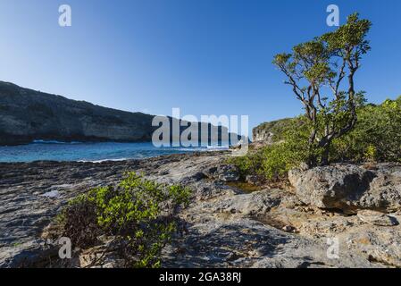 Lagune de la porte d'Enfer, Guadeloupe, Antilles françaises; Guadeloupe, France Banque D'Images