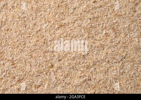 Enveloppe de psyllium comme motif. Psyllium Husk comme supplément soluble dans l'eau pour l'intestin. Super-alimentation pour la santé, abaisse le cholestérol, balances sucre de sang, E Banque D'Images