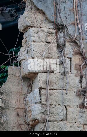 Vestiges en ruines - murs de terre remisée et plâtre - d'une maison de village abandonnée près de Sheung Shui, Hong Kong 8 mai 2021 Banque D'Images