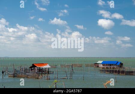 Thaïlande: Les fermes piscicoles jouent un rôle important pour les communautés près de Ko Yo (île Yo), Thale SAP Songkhla (lac Songkhla). Songkhla était le siège d'un ancien Royaume malais avec une forte influence srivijayenne. Dans les temps anciens (200 ce - 1400 ce), Songkhla forme l'extrémité nord du Royaume malais de Langkasuka. La ville-état est alors devenue un affluent de Nakhon si Thammarat, souffrant des dommages lors de plusieurs tentatives pour gagner l'indépendance. Banque D'Images