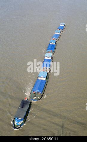 Chine : marchandises transportées sur le Huangpu Jiang (fleuve Huangpu) depuis le fleuve Yangzi (Yangtze), Shanghai. Shanghai a commencé la vie comme un village de pêcheurs, et plus tard comme un port recevant des marchandises transportées le long du fleuve Yangzi. À partir de 1842, à la suite de la première guerre de l'opium, les Britanniques ont ouvert une « concession » à Shanghai où les commerçants pouvaient opérer sans être dérangés. Les Français, les Italiens, les Allemands, les Américains et les Japonais ont tous suivi. Dans les années 1920 et 1930, Shanghai était une ville en plein essor. Lorsque les communistes ont gagné le pouvoir en 1949, ils ont transformé Shanghai en un modèle de la Révolution. Banque D'Images