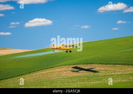 Des avions de récolte de blé sur des champs de blé dans la région de Palouse, dans l'est de l'État de Washington Banque D'Images