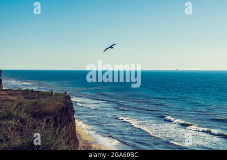 Falaise au-dessus de la mer vol mouettes magnifique paysage marin. Photo naturelle. Banque D'Images