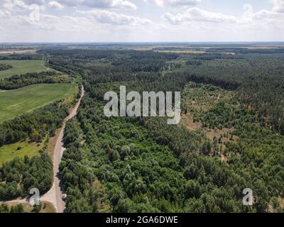 Junkyard, pollution dans une forêt près de la route Banque D'Images