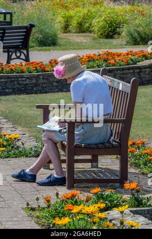 une dame assise sur un banc de parc lisant un livre le jour de l'été. Banque D'Images