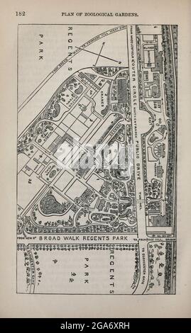 Plan des jardins zoologiques du livre ' Londres et ses environs : un guide pratique de la métropole et de ses environs, illustré par des cartes, plans et vues ' par Adam et Charles Black publié à Édimbourg par A. & C. Black 1862 Banque D'Images