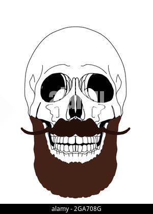 Crâne , illustration de dessin Banque D'Images