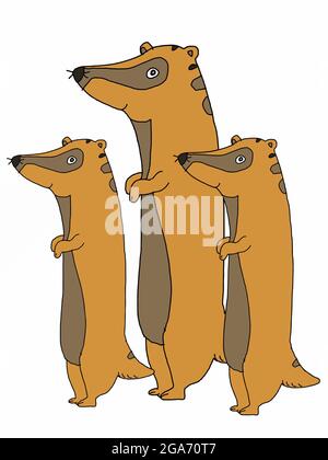 mignon, dessin animé, meerkat, illustration d'animal, dessin de couleur ligne Banque D'Images