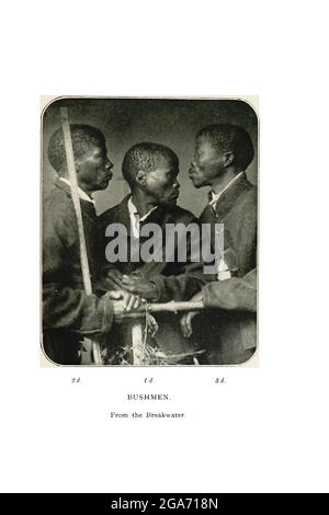 Trois Bushmen du Breakwater du livre ' Spectats of Bushman folklore ' de Bleek, W. H. I. (Wilhelm Heinrich Emmanuel), Lloyd, Lucy Catherine, Theal, George McCall, 1837-1919 publié à Londres par G. Allen & Company, ltd. En 1911. Les San peuples (également Saan), ou Bushmen, sont membres de divers groupes indigènes de chasseurs-cueilleurs de Khoe, de Tuu ou de langue Kxʼa qui sont les premières nations de l'Afrique australe, et dont les territoires couvrent le Botswana, la Namibie, l'Angola, la Zambie, le Zimbabwe, Lesotho et Afrique du Sud. Banque D'Images