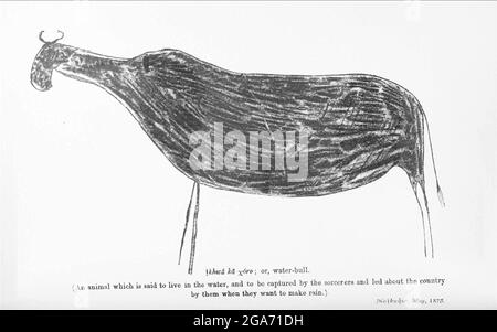 Bushmen (san) peinture de roche d'un taureau d'eau peint sur les murs des grottes du livre ' spécimens de folklore Bushman ' par Bleek, W. H. I. (Wilhelm Heinrich Emmanuel), Lloyd, Lucy Catherine, Theal, George McCall, 1837-1919 publié à Londres par G. Allen & Company, ltd. En 1911. Les San peuples (également Saan), ou Bushmen, sont membres de divers groupes indigènes de chasseurs-cueilleurs de Khoe, de Tuu ou de langue Kxʼa qui sont les premières nations de l'Afrique australe, et dont les territoires couvrent le Botswana, la Namibie, l'Angola, la Zambie, le Zimbabwe, Lesotho et Afrique du Sud. Banque D'Images