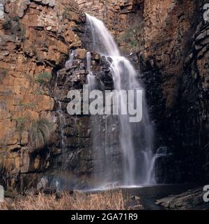 Australie méridionale. Collines d'Adélaïde. Morialta Falls. Banque D'Images