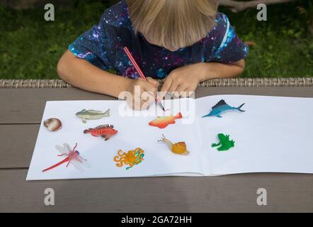 L'enfant tire tout en regardant les petites figures jouets des animaux du monde de l'eau. Idées créatives pour la créativité des enfants. Développer des activités Banque D'Images