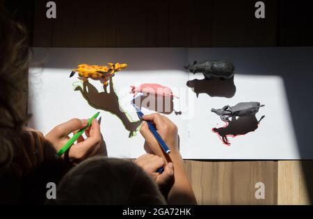 L'enfant dessine les ombres contrastées des personnages jouets des animaux le long du contour avec un stylo feutre. Idées créatives pour le creativit des enfants Banque D'Images