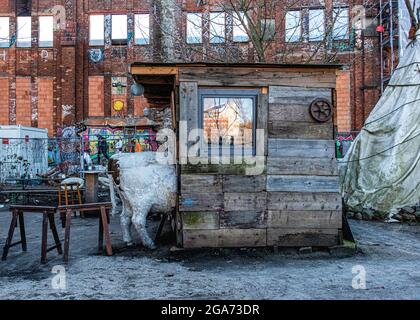 Bar rude avec modèle de vache dans le jardin de Teepeeland commune informelle de squatters à Kreuzberg-Berlin, Allemagne. Banque D'Images