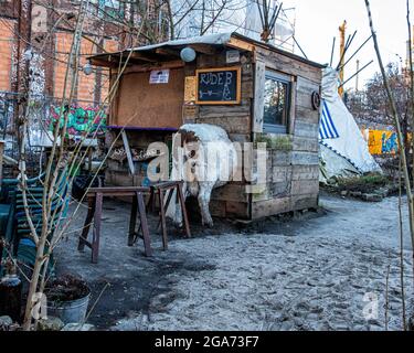 Bar rude avec modèle de vache dans le jardin de Teepeeland commune informelle de squatters à Kreuzberg-Berlin, Allemagne. Banque D'Images