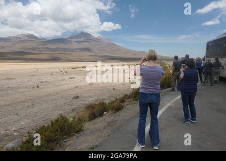 À la recherche de Condor andin the Colca Canyon au Pérou chasse observer les gens qui regardent les montagnes en attente chaîne montagneuse recherche de touristes Banque D'Images