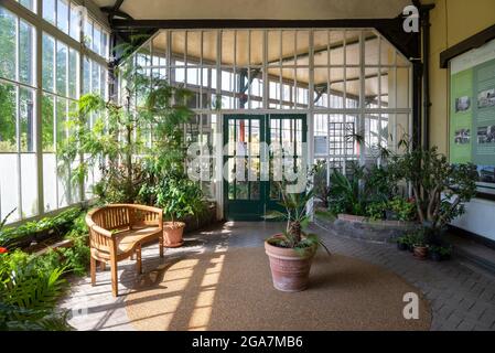 À l'intérieur du jardin d'hiver de Buxton Pavilion Gardens, Derbyshire, Angleterre. Banque D'Images