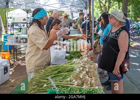 Albuquerque, Nouveau-Mexique - le marché des producteurs du centre-ville, tenu le samedi à Robinson Park. Les légumes sont en vente au stand de Los Jardines de Moktez Banque D'Images