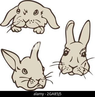 Illustration vectorielle avec collection de faces de lapin. Ensemble de faces de lapin de dessin manuel. Illustration de Vecteur