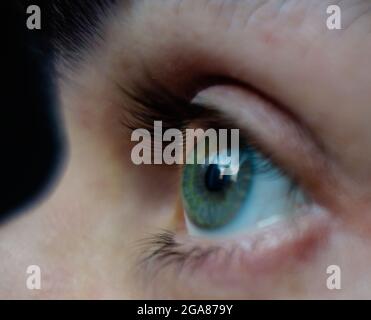 Gros plan d'un œil ouvert gauche mâle de couleur verte et d'une partie du nez Banque D'Images