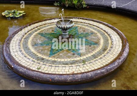 Jardins d'hiver, fontaine, piédestal en carreaux circulaires, eau souterraine, étang, Domaine d'Auckland ; Auckland ; Nouvelle-Zélande Banque D'Images