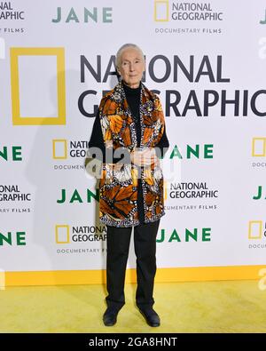 9 octobre 2017, Hollywood, Californie, États-Unis: Primatologue Dr. Jane Goodall assiste à la première de Los Angeles de National Geographic Documentary films ''Jane' (Credit image: © Billy Bennight/ZUMA Press Wire) Banque D'Images