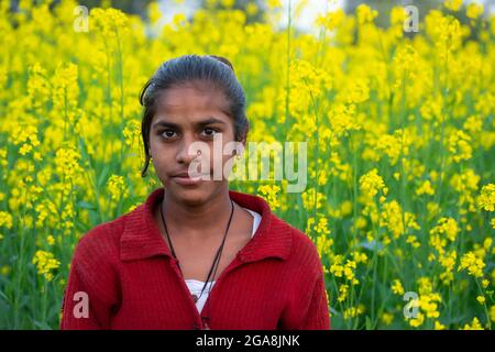 TIKAMGARH, MADHYA PRADESH, INDE - 23 JUILLET 2021 : fille d'un village indien au champ de moutarde noire. Banque D'Images