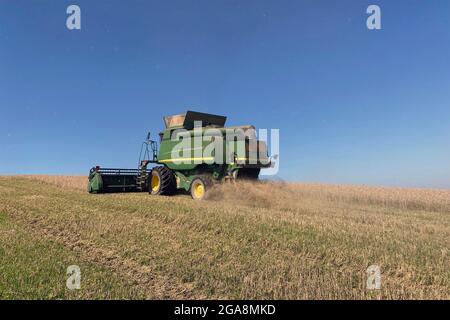 Récolte de blé de la récolteuse-hacheuse dans les champs de France Banque D'Images